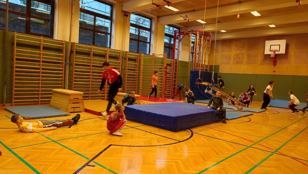 fun with gymnastics